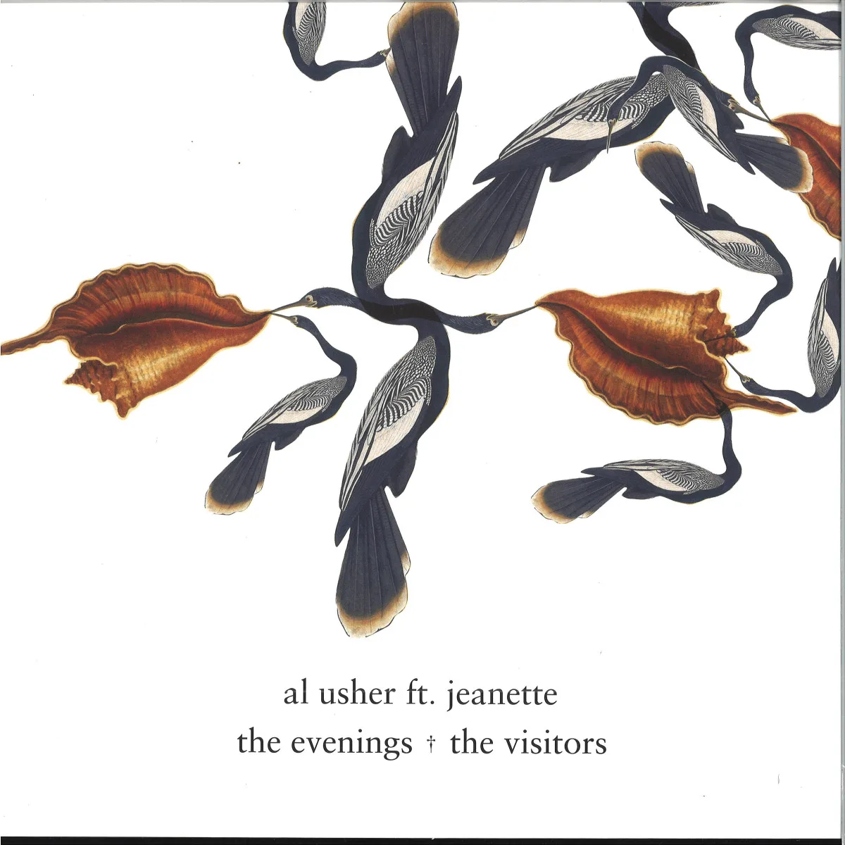 Al Usher — THE EVENINGS / THE VISITORS
