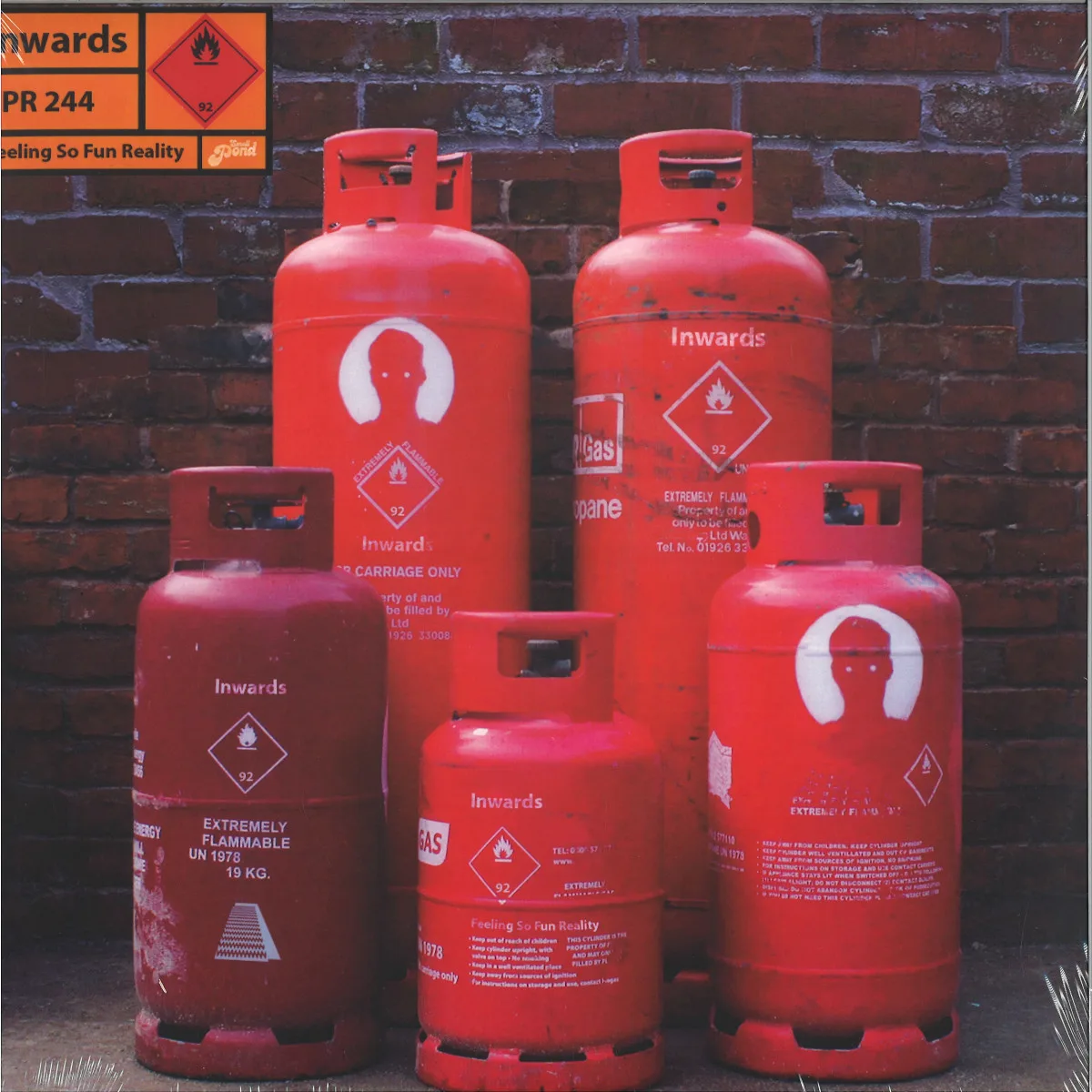 Inwards — Feeling So Fun Reality LP