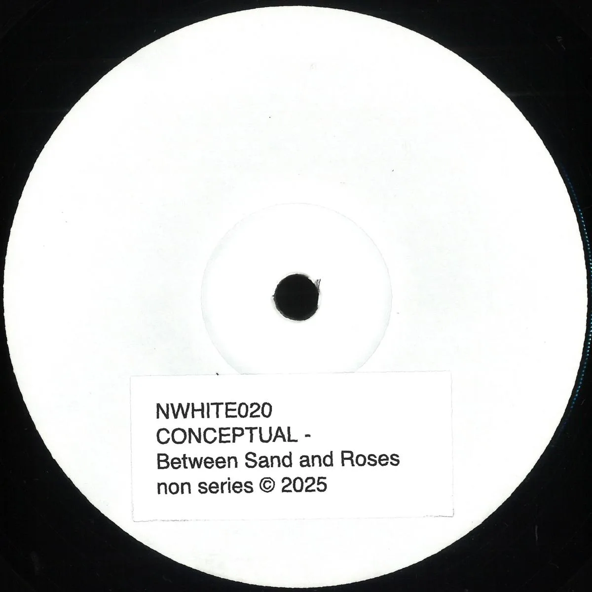 CONCEPTUAL — BETWEEN SAND AND ROSES