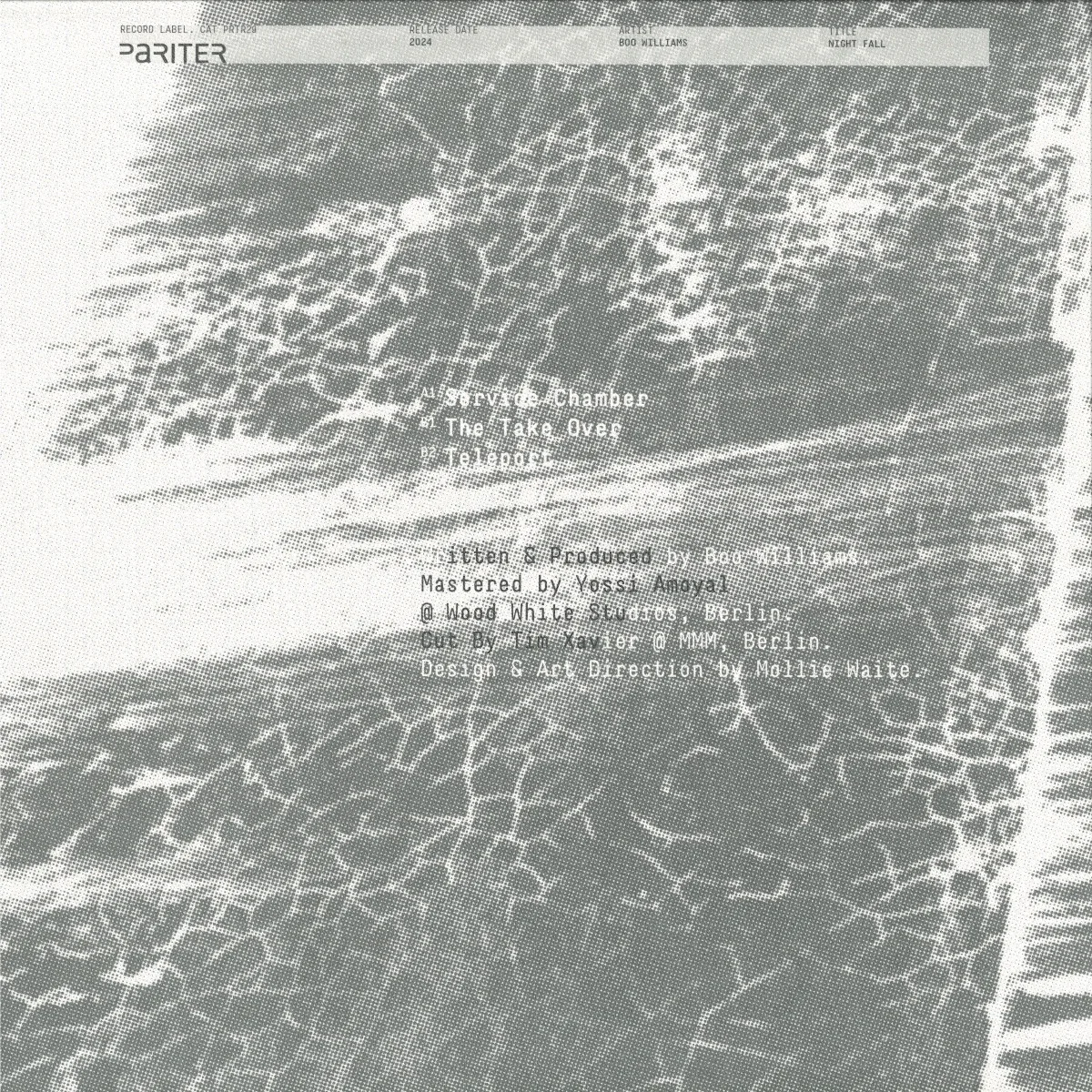 Back cover — Boo Williams — Night Fall