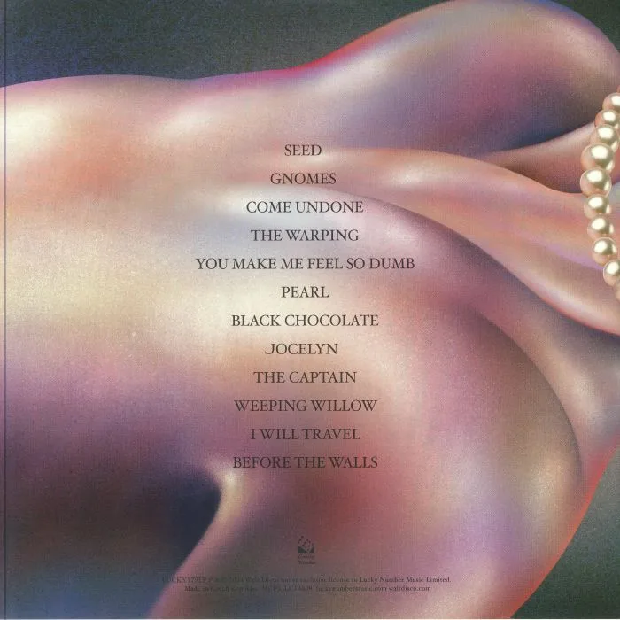 Back cover — WALT DISCO — The Warping