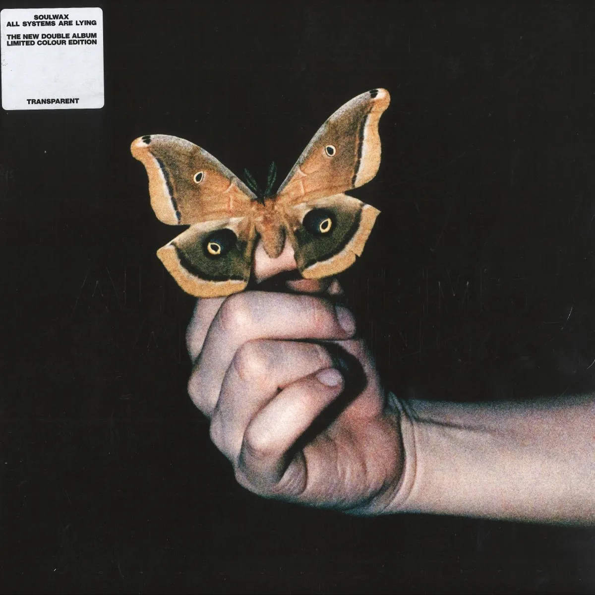 SOULWAX — All Systems Are Lying 2x12