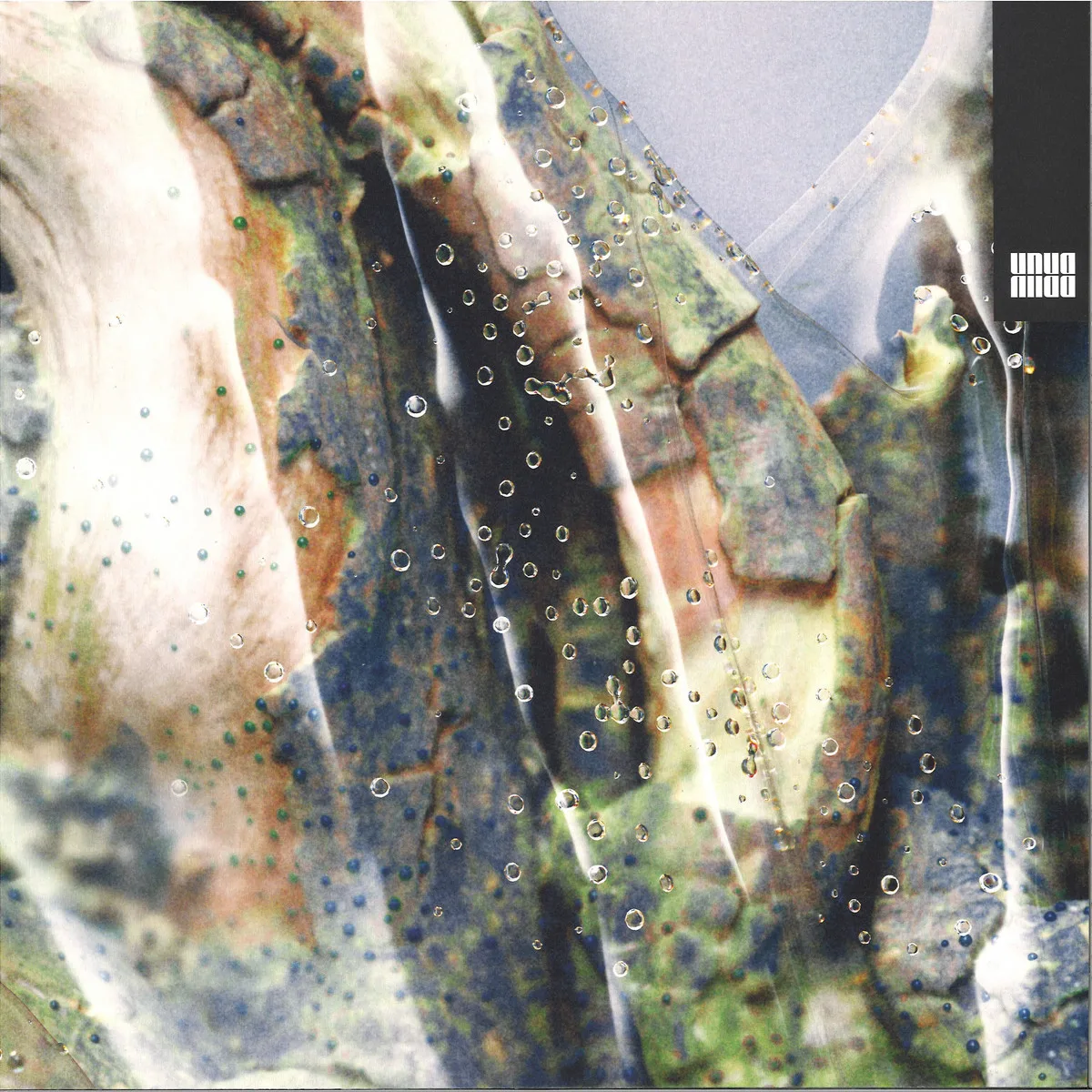 Fft — BRUK1
