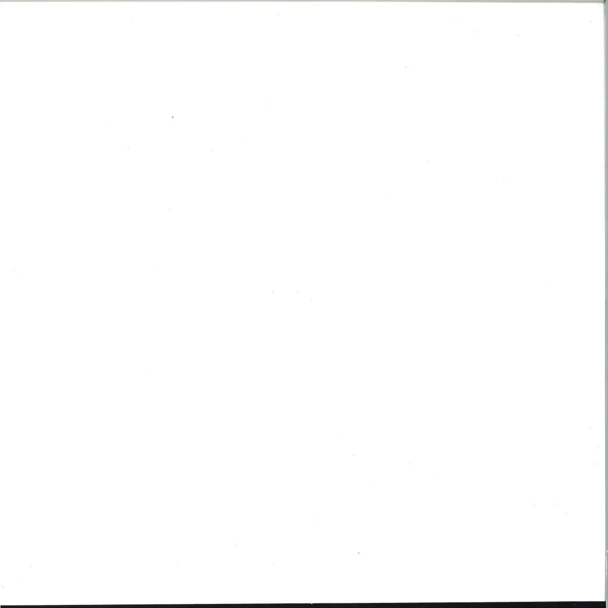 Back cover — Dj Absolutely Shit — DOUBLE LP 2x12"