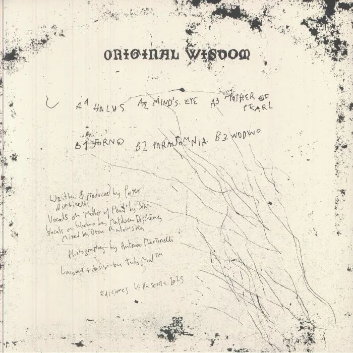 Back cover — BUNZINELLI — Original Wisdom