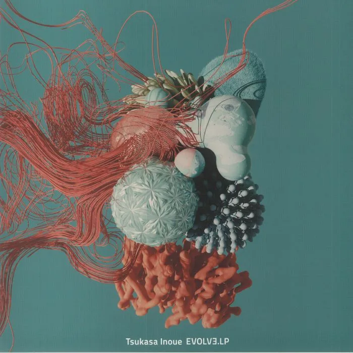 Tsukasa INOUE — EVOLVE