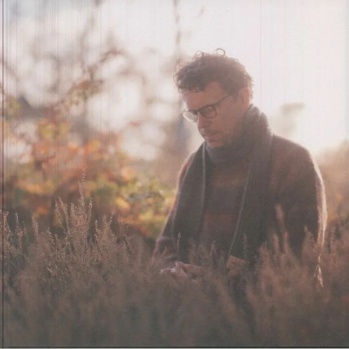 SCRIMSHIRE — Bring Our Light To Every Corner