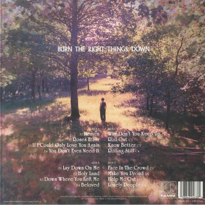 Back cover — MAVERICK SABRE — Burn The Right Things Down