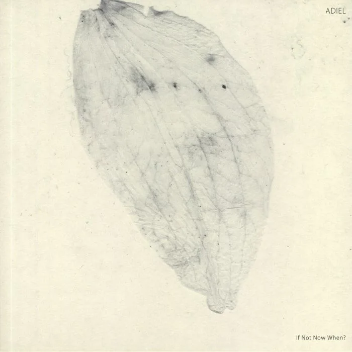 ADIEL — If Not Now When?