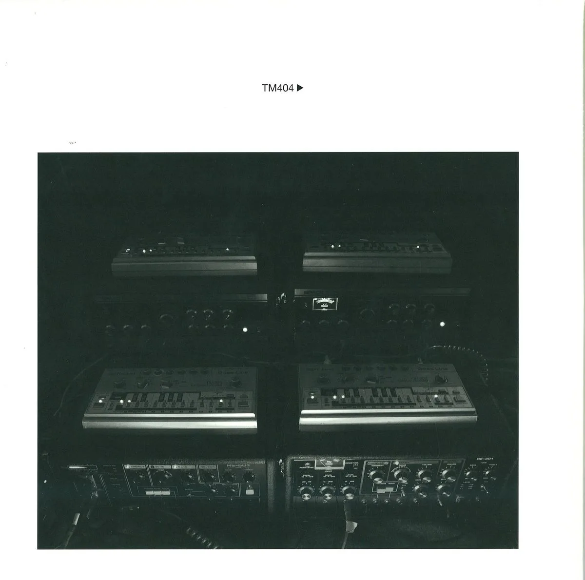 Tm404 — Tm404 LP 2x12"