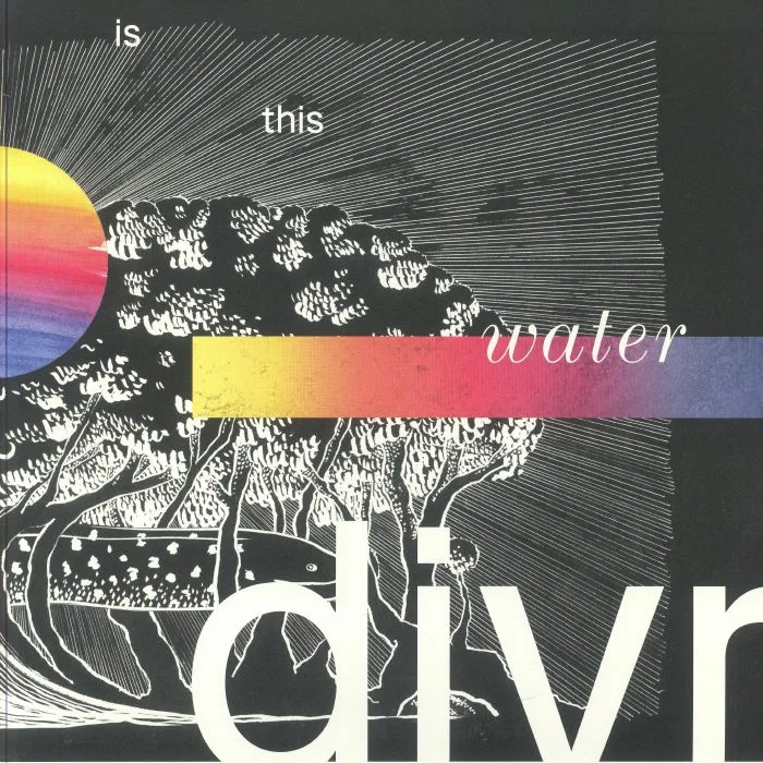 Лицевая сторона обложки — DIVR — Is This Water