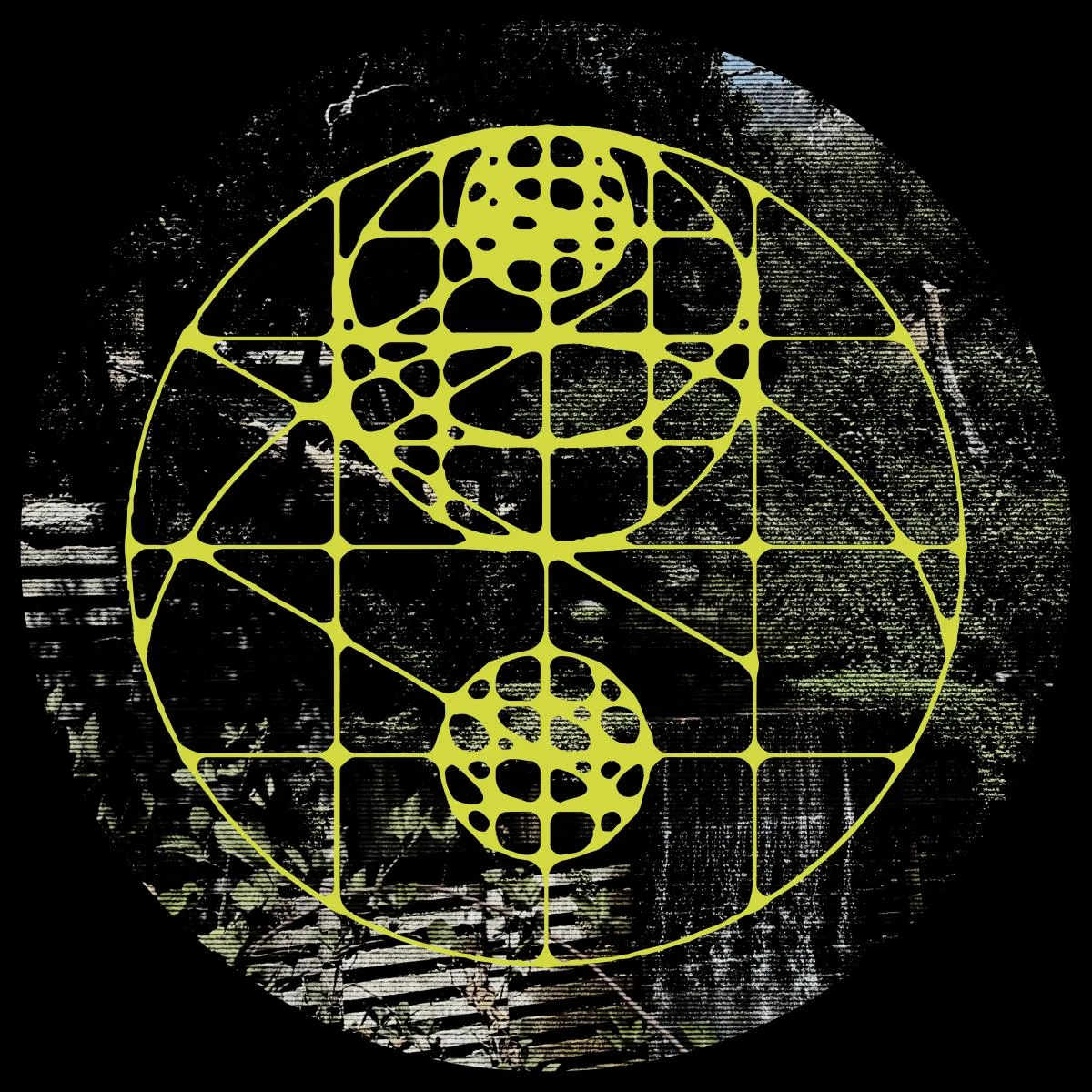 Back cover — Forest On Stasys — Third Eye Dome