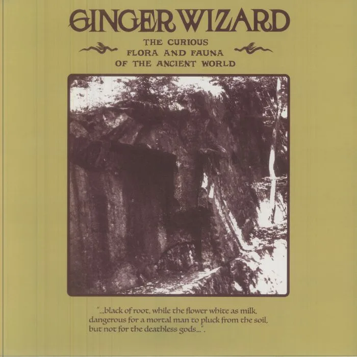 GINGER WIZARD — The Curious Flora & Fauna Of The Ancient World