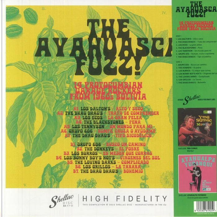 Обратная сторона обложки — VARIOUS — The Ayahuasca Fuzz!: 14 Protocumbian Garage Rockers From 1960s Bolivia