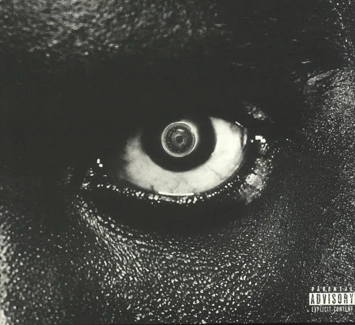 DAMSO — Lithopedion