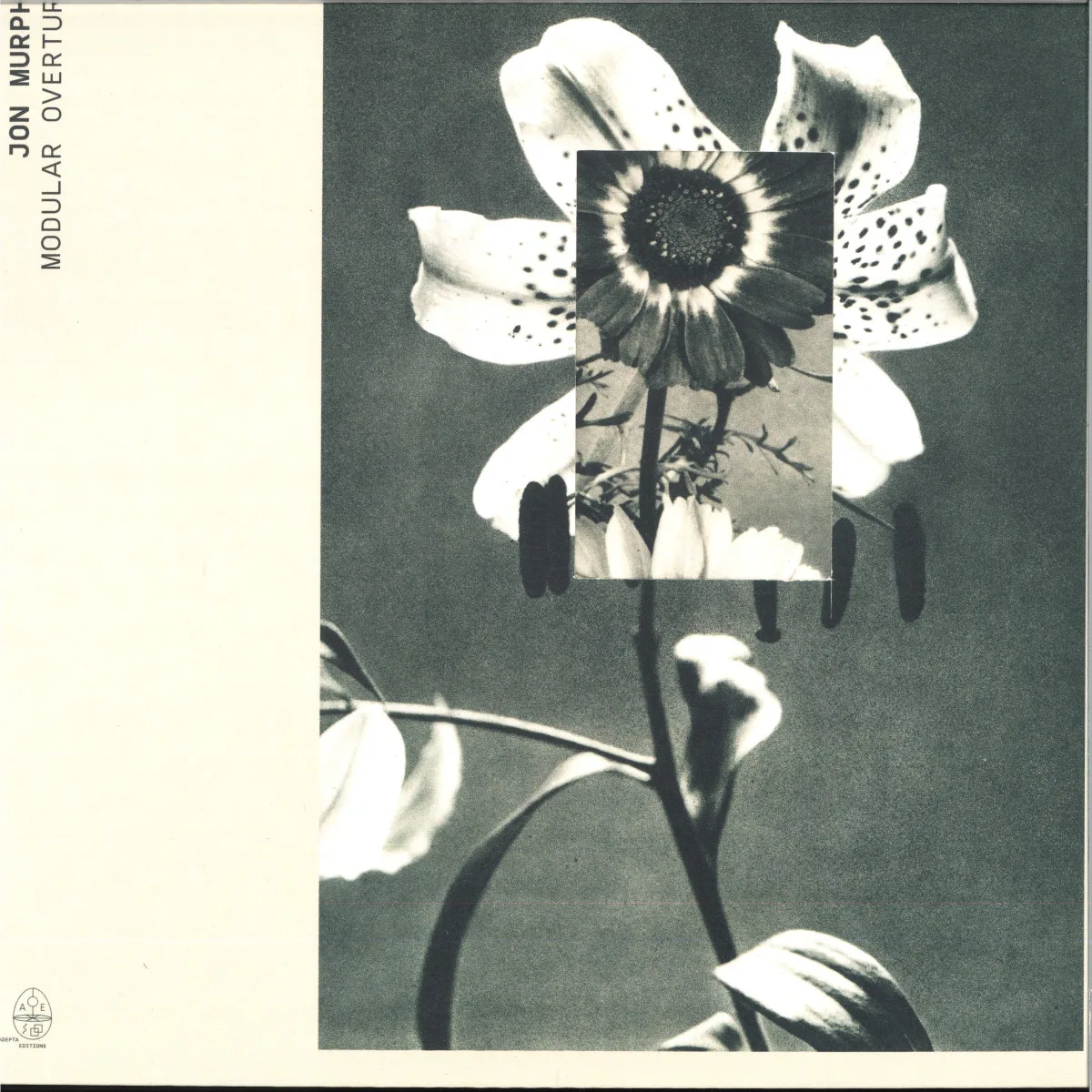 Jon Murphy — Modular Overture