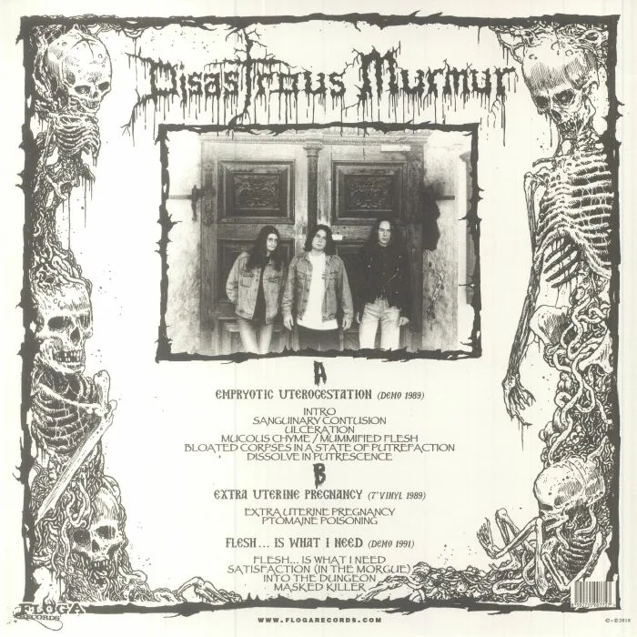 Back cover — DISASTROUS MURMUR — Skinning Beginning 1989-1991