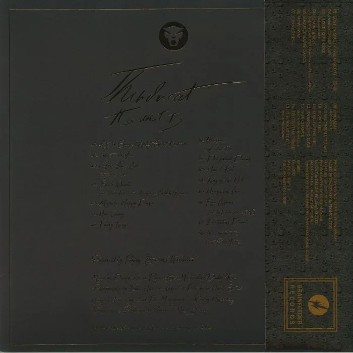 Back cover — THUNDERCAT — It Is What It Is (Deluxe Edition)