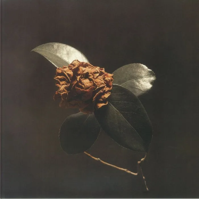ST PAUL & THE BROKEN BONES — Young Sick Camellia (reissue)