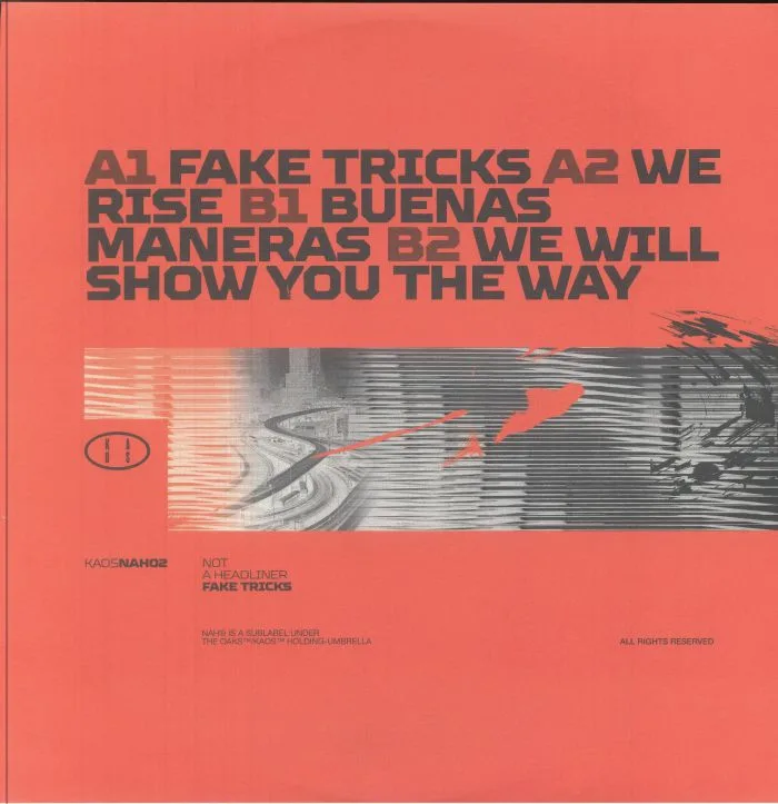 Back cover — NOT A HEADLINER — Fake Tricks