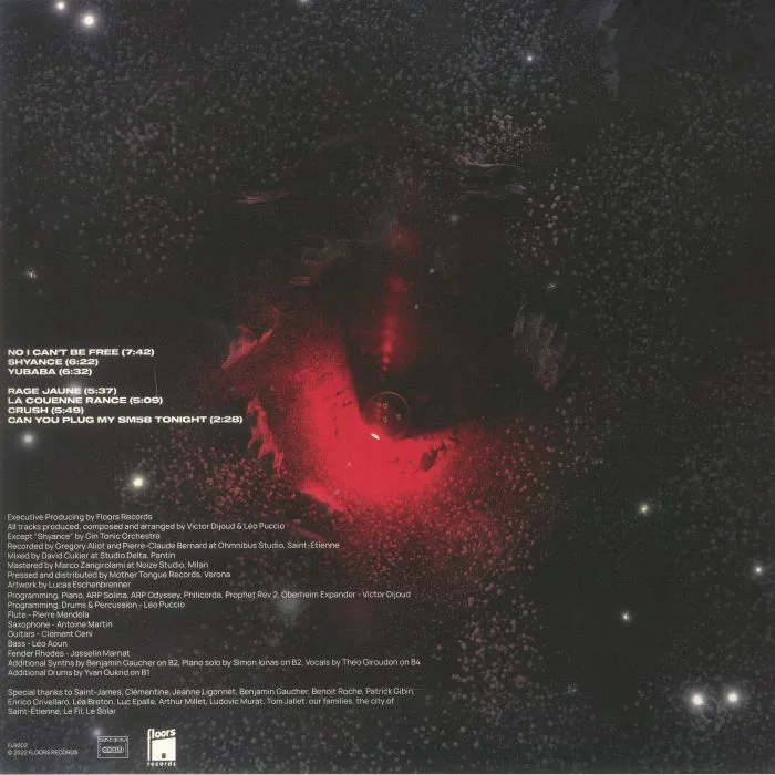 Back cover — GIN TONIC ORCHESTRA — Shyance