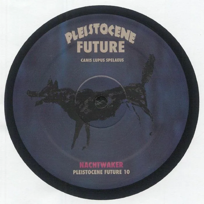 Лицевая сторона обложки — NACHTWAKER — Pleistocene Future 10