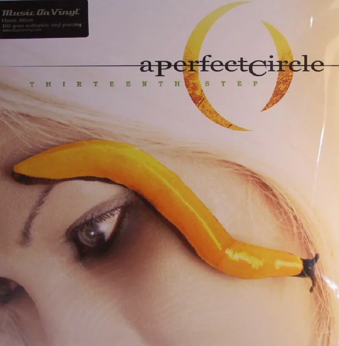 A PERFECT CIRCLE — Thirteenth Step