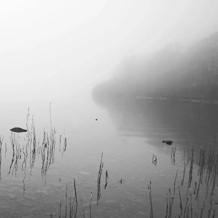 DAKOTA SUITE — This River Only Brings Poison (20th Anniversary Edition)