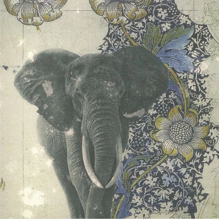 Front cover — SINDACO — Spiritual Safari
