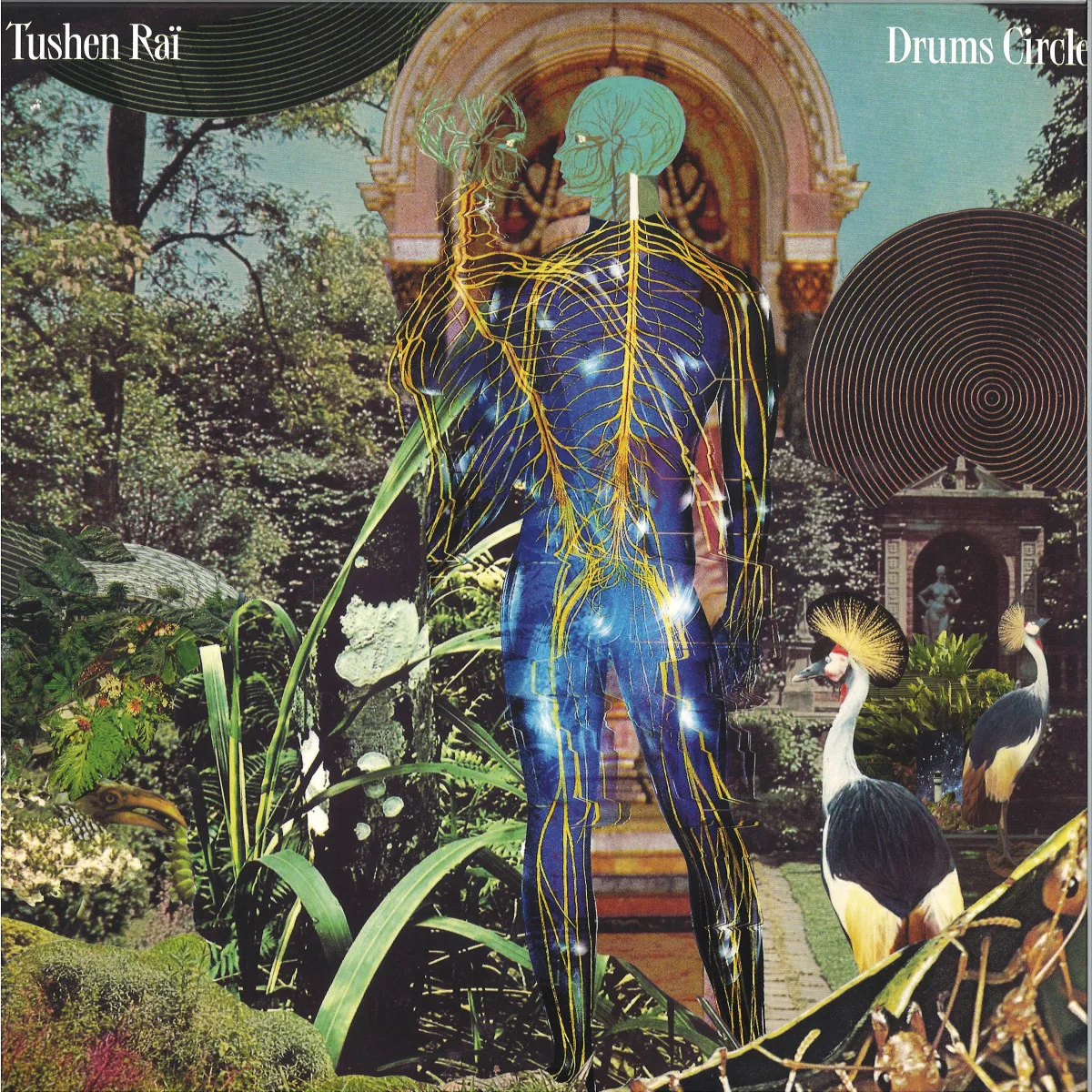 Tushen Raï — Drums Circle