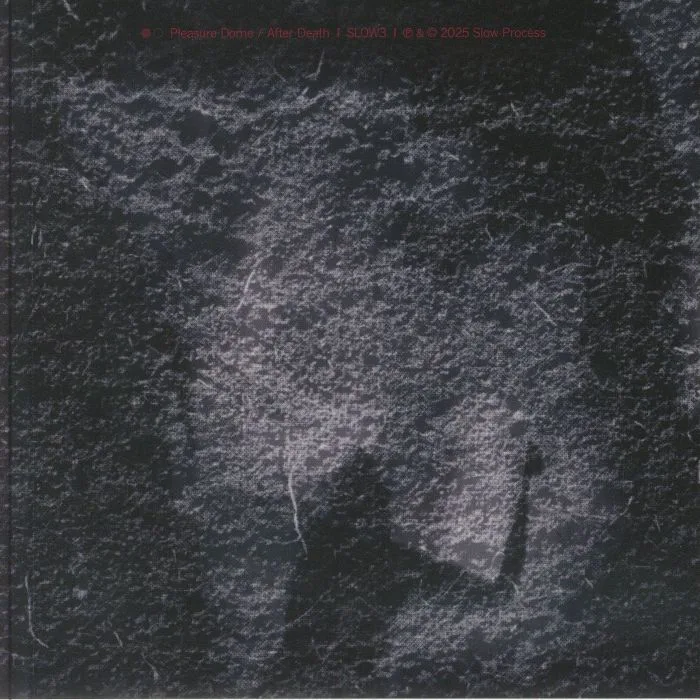 Back cover — SYSTEM DISORDER — Pleasure Dome