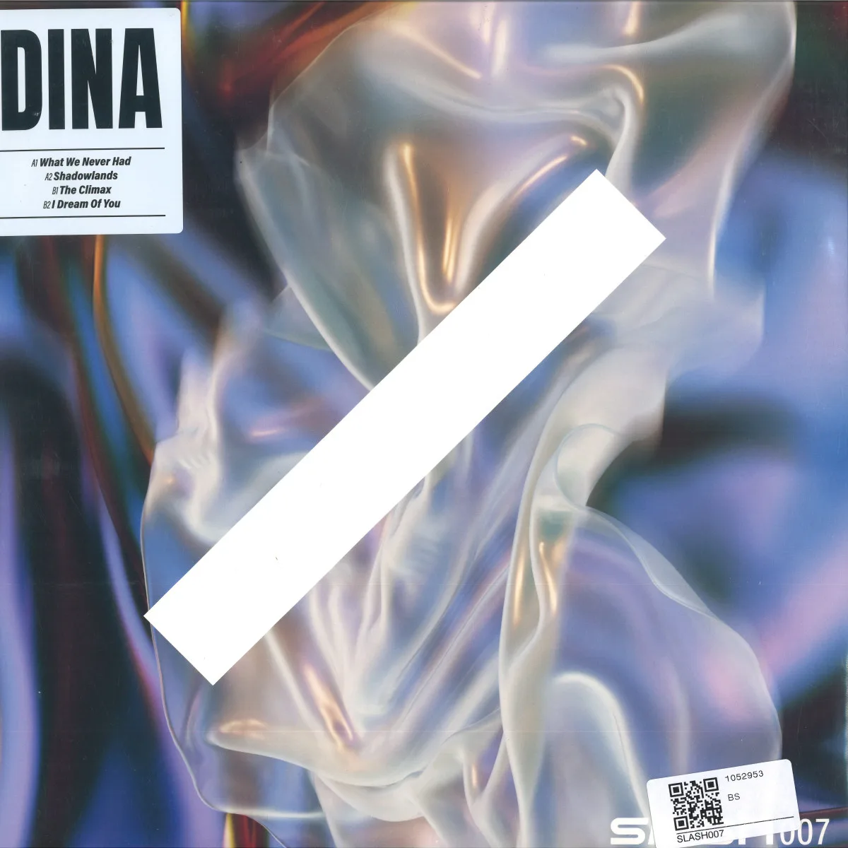 Лицевая сторона обложки — Dina — What We Never Had
