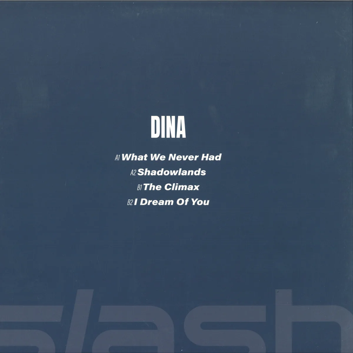 Обратная сторона обложки — Dina — What We Never Had