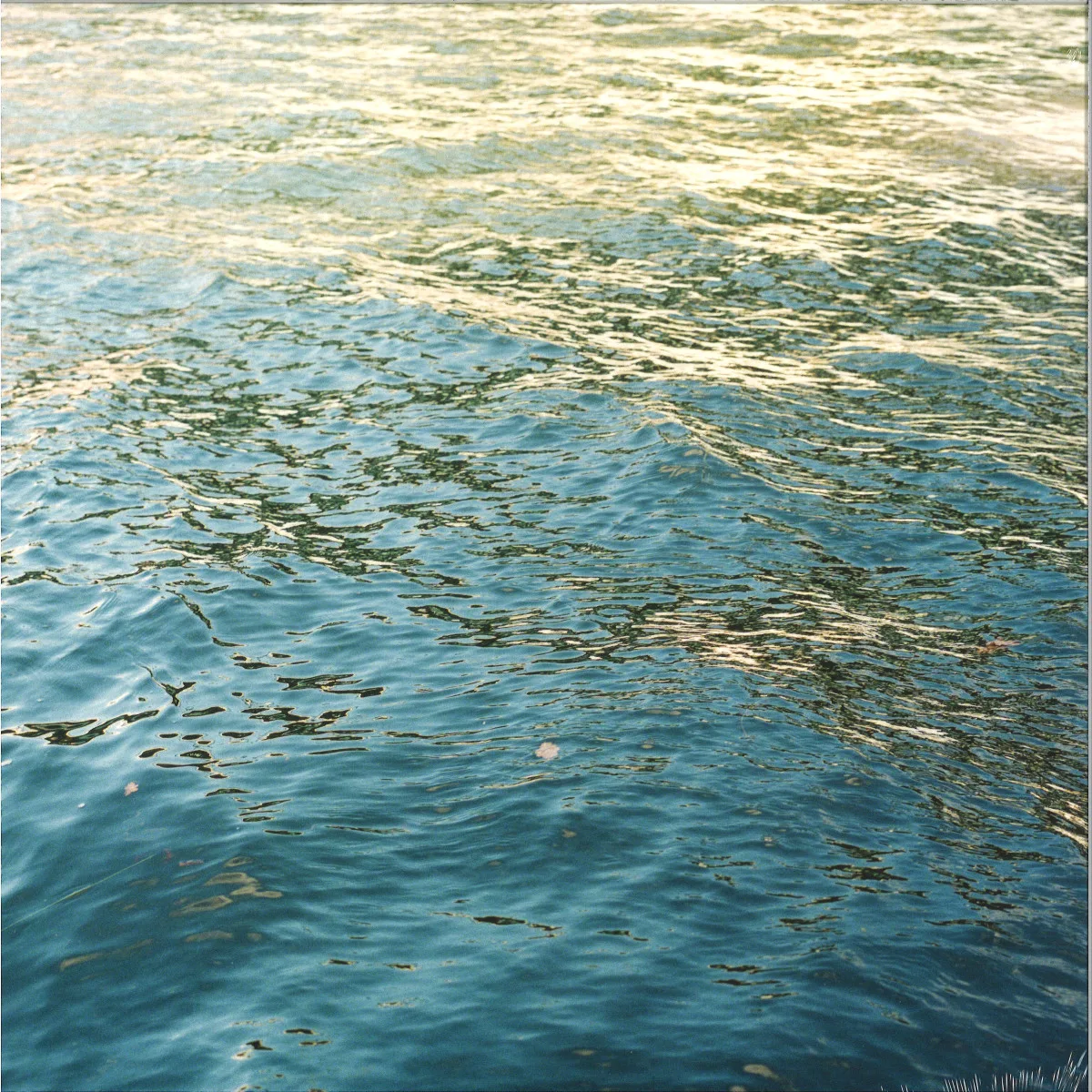 Kadosh — Unanimously