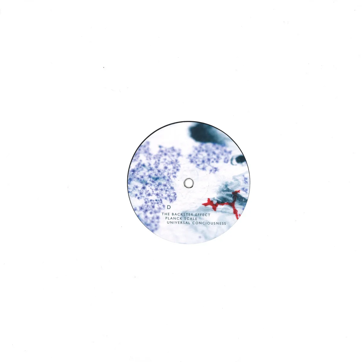Back cover — Primary Perception — Evidence Of A Primary Perception - No Cover