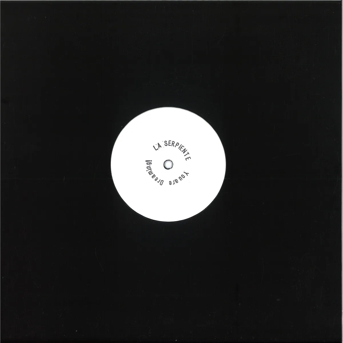 Back cover — La Serpiente — YOU ARE DREAMING!