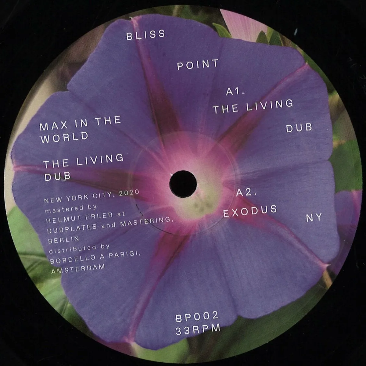 Лицевая сторона обложки — Max In The World — THE LIVING DUB EP