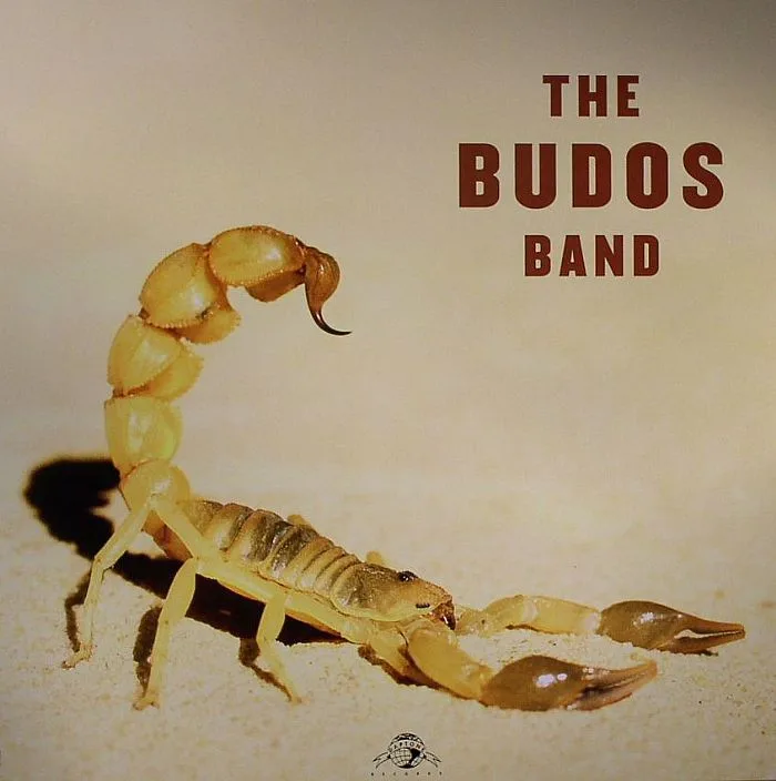 Лицевая сторона обложки — The BUDOS BAND — The Budos Band II