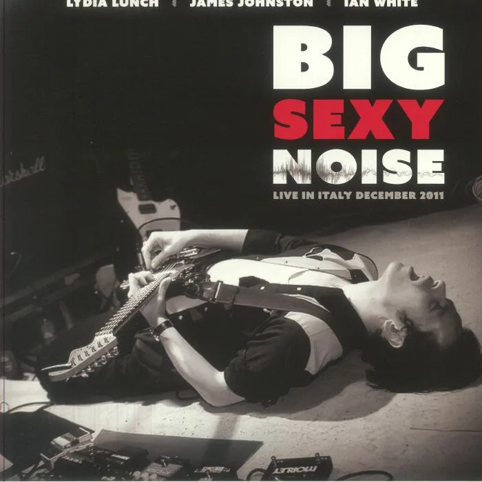 BIG SEXY NOISE — Live In Italy December 2011