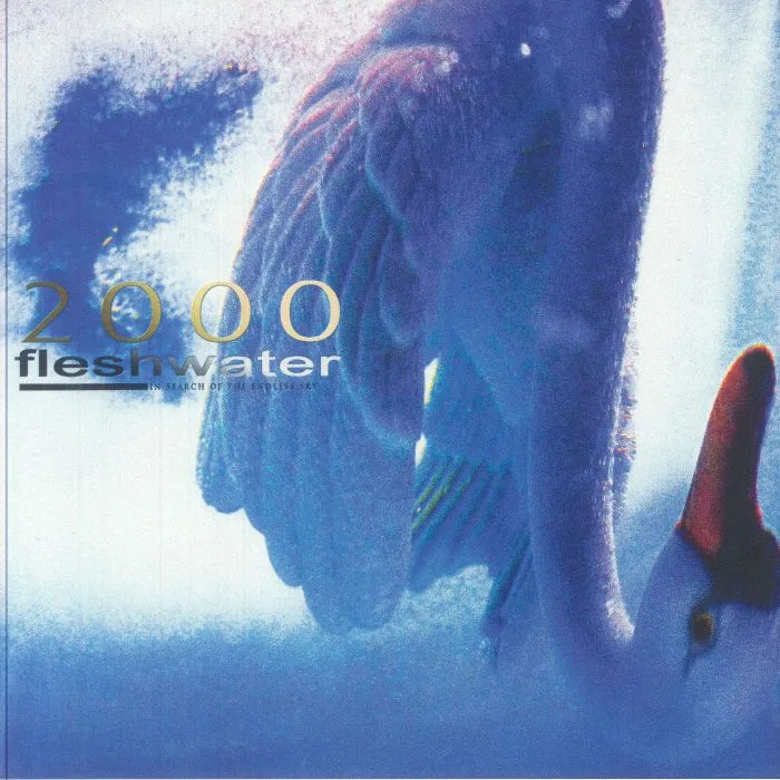 FLESHWATER — 2000: In Search Of The Endless Sky