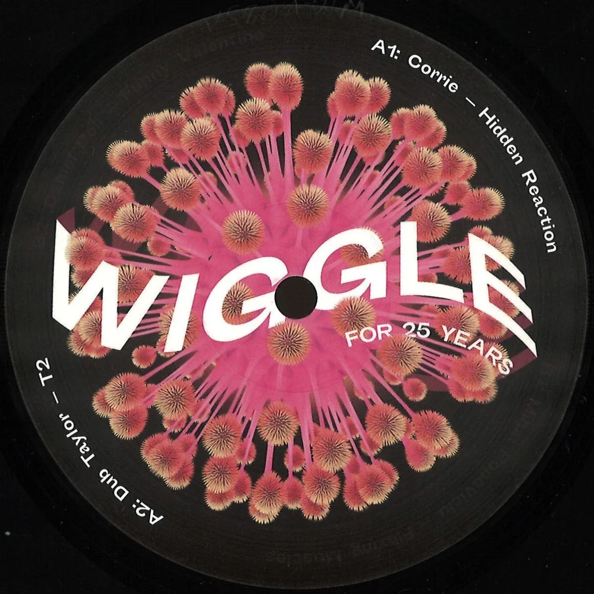Front cover — Various — Wiggle for 25 Years Sampler