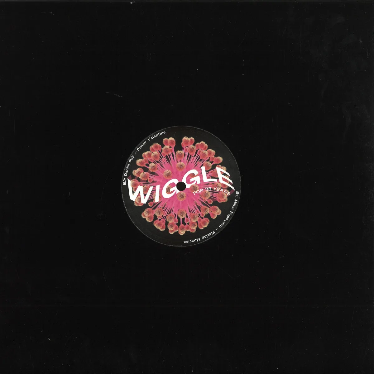 Back cover — Various — Wiggle for 25 Years Sampler
