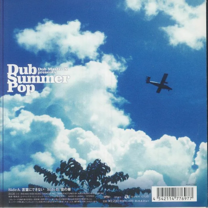 Back cover — DUB MASTER X — Dub Summer Pop