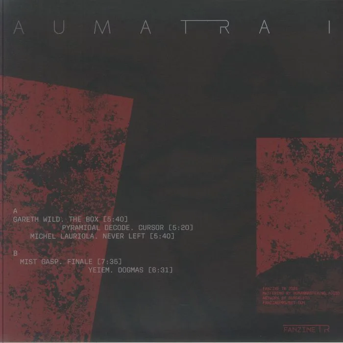 Back cover — Gareth WILD / PYRAMIDAL DECODE / MICHEL LAURIOLA / MIST GASP / YEIEM — Aumatra Vol 1