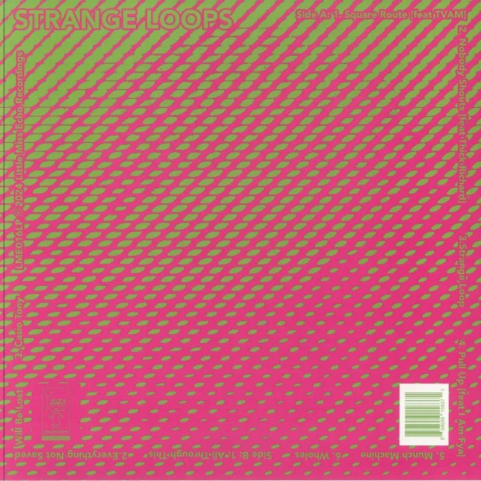 Обратная сторона обложки — AK DK — Strange Loops