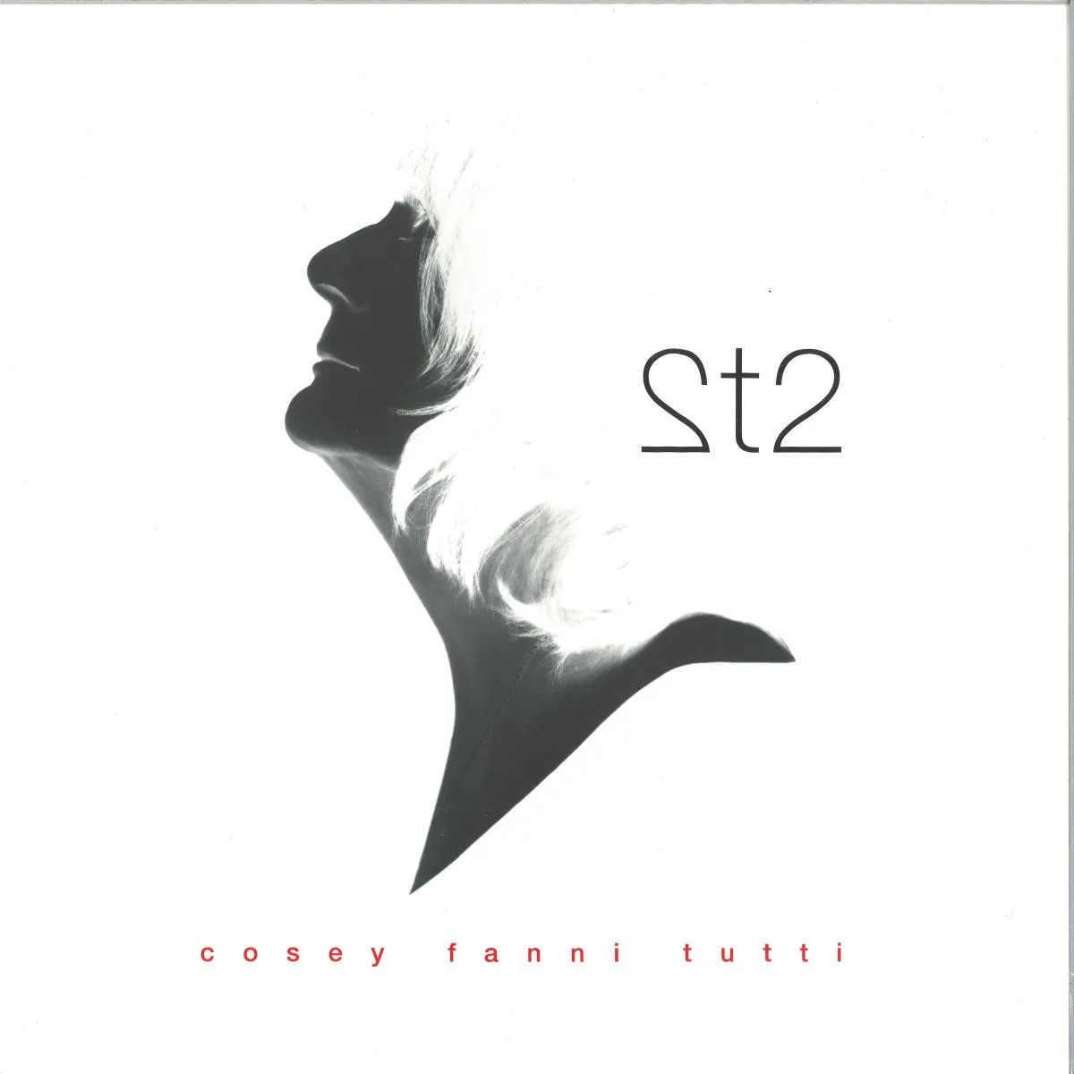 Cosey Fanni Tutti — 2t2