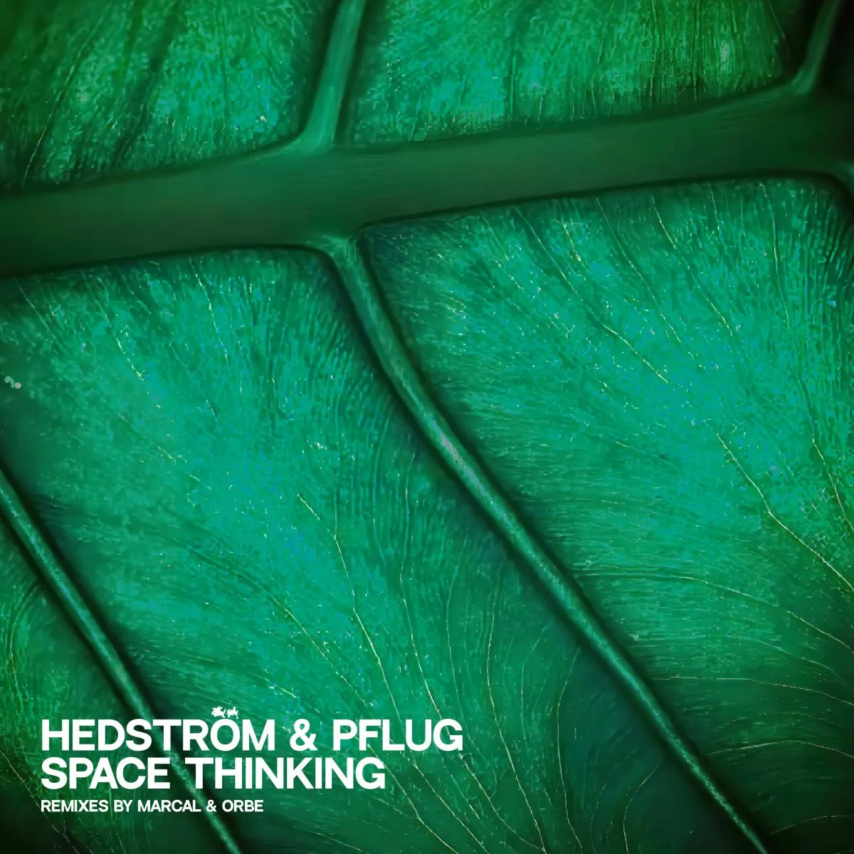 Hedström & Pflug — Space Thinking EP
