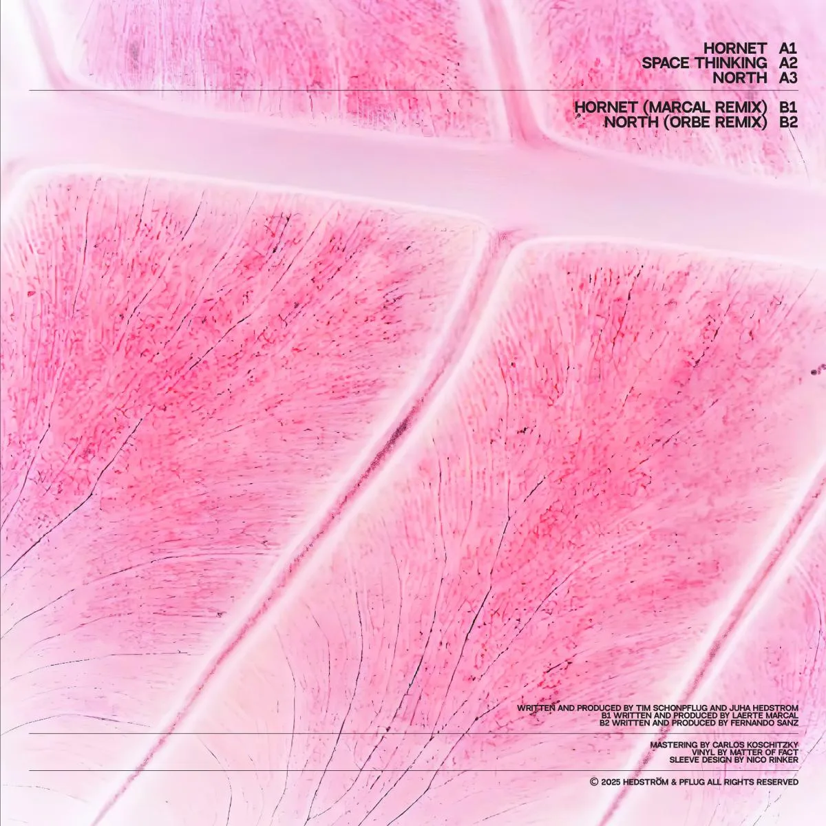 Обратная сторона обложки — Hedström & Pflug — Space Thinking EP