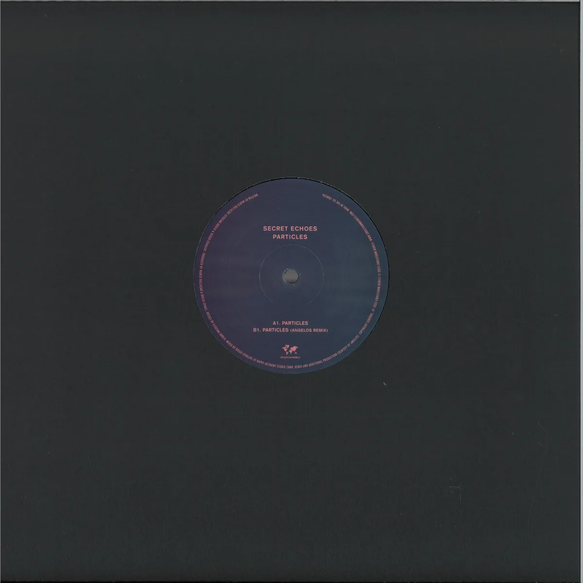 Back cover — Secret Echoes — Particles