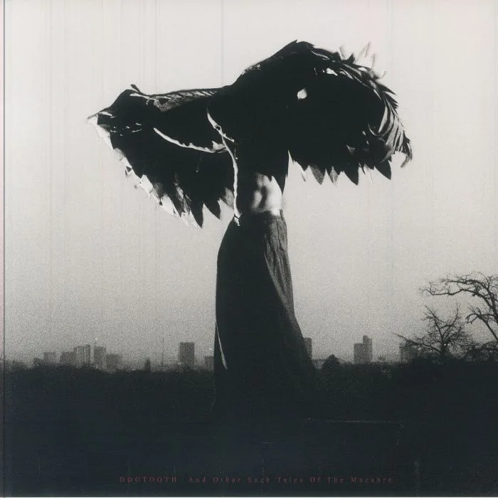LINTD — Dogtooth & Other Such Tales Of The Macabre